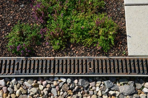 Drainage Image